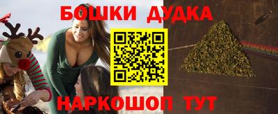 молекула духа Камышлов