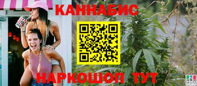 молекула духа Камышлов