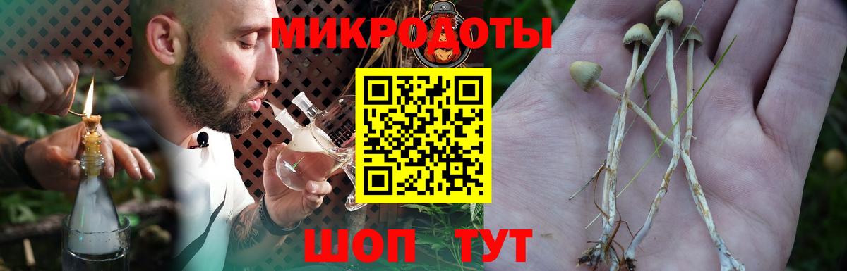 Луга  как найти наркотики  Вход с VPN  Галлюциногенные грибы ЛСД 