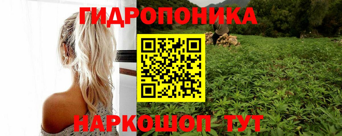 Канабис Bruce Banner  Вход с VPN  Марихуана сатива  Луга  Канабис индика  МАРИХУАНА сатива 
